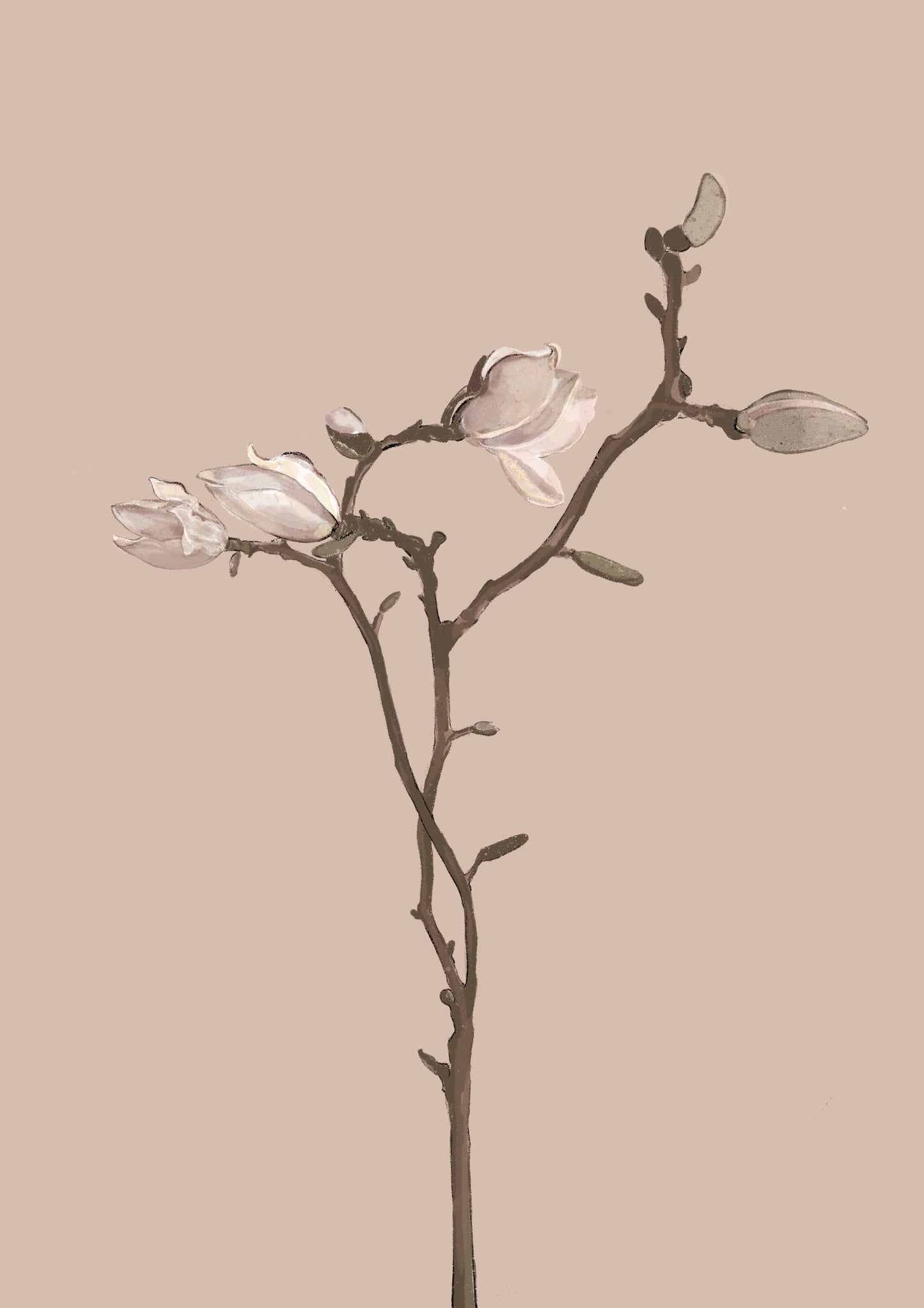 Flower buds