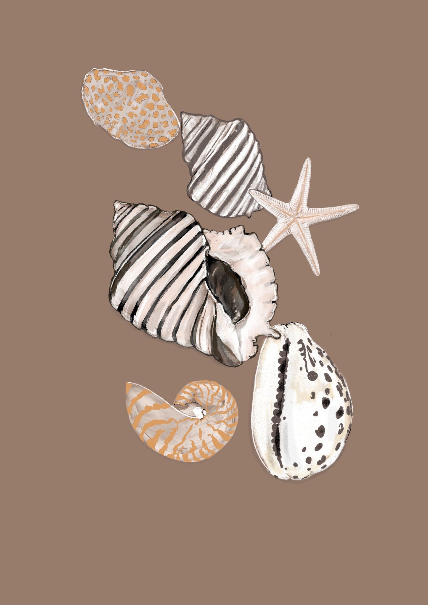 Shells
