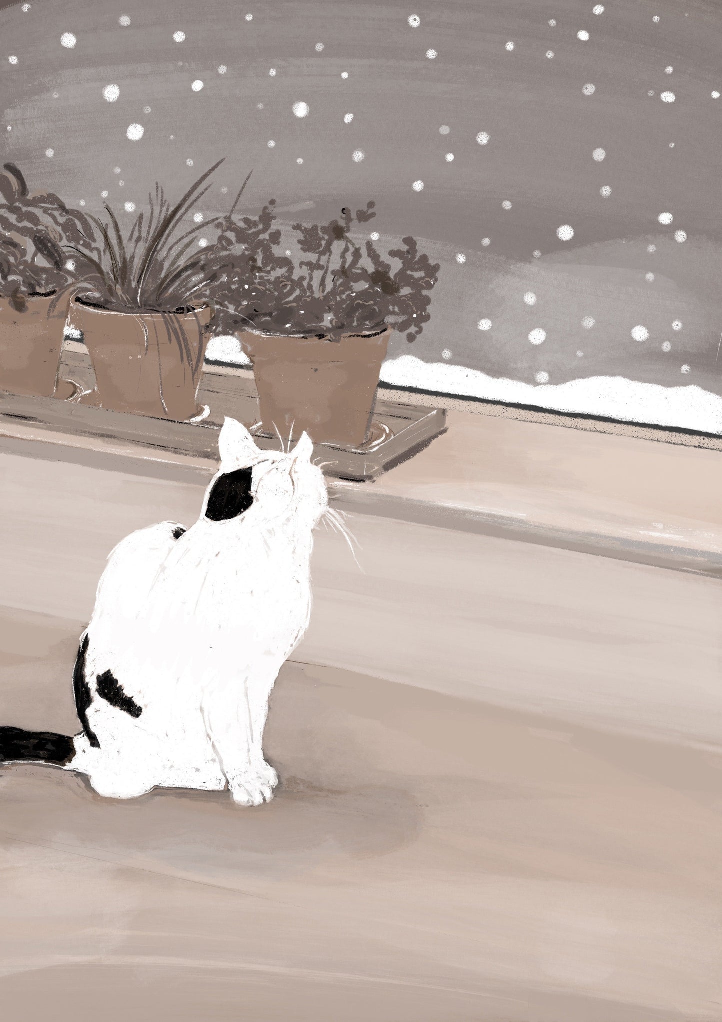 Winter White cat