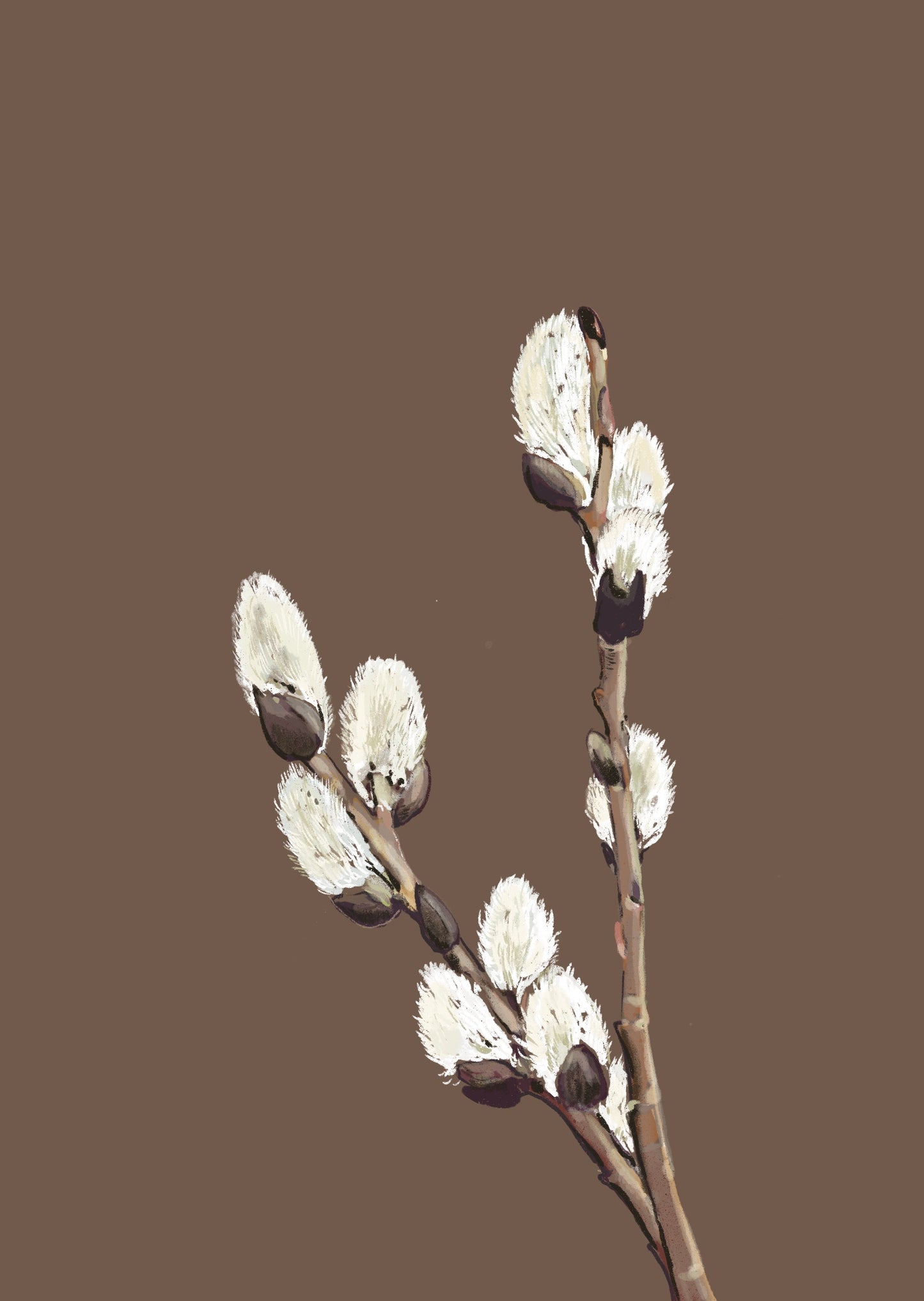 Catkin
