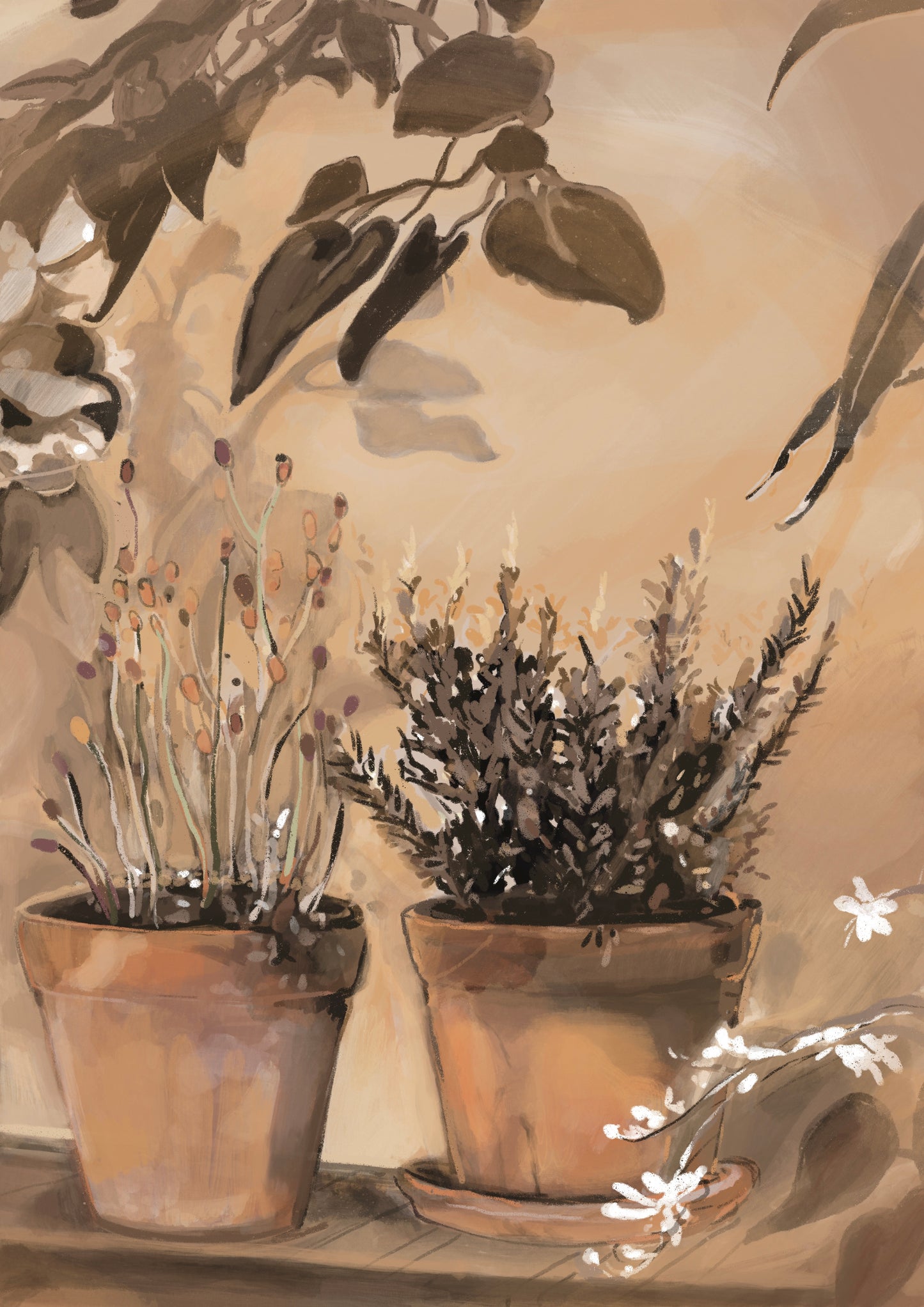 Morning light terrace