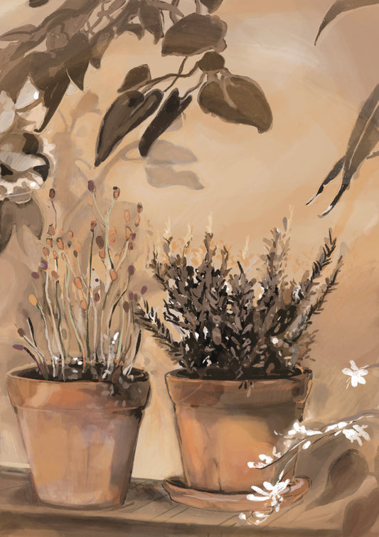 Morning light terrace