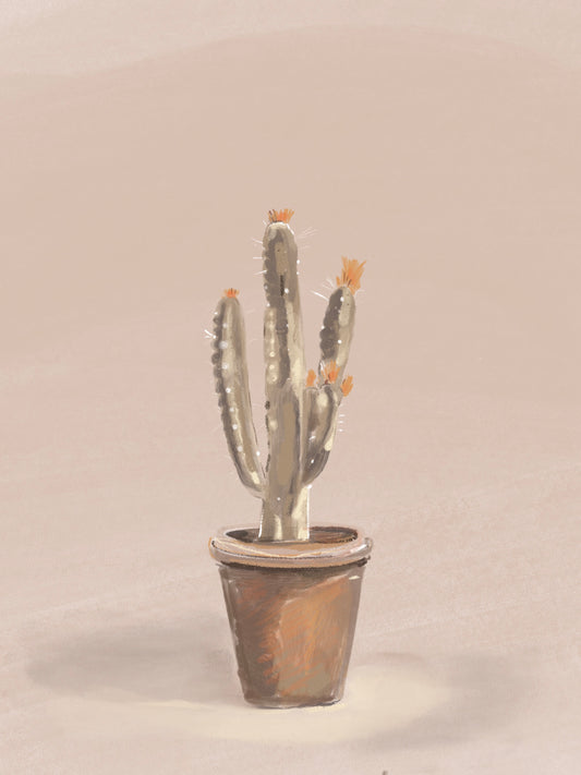 Cactus