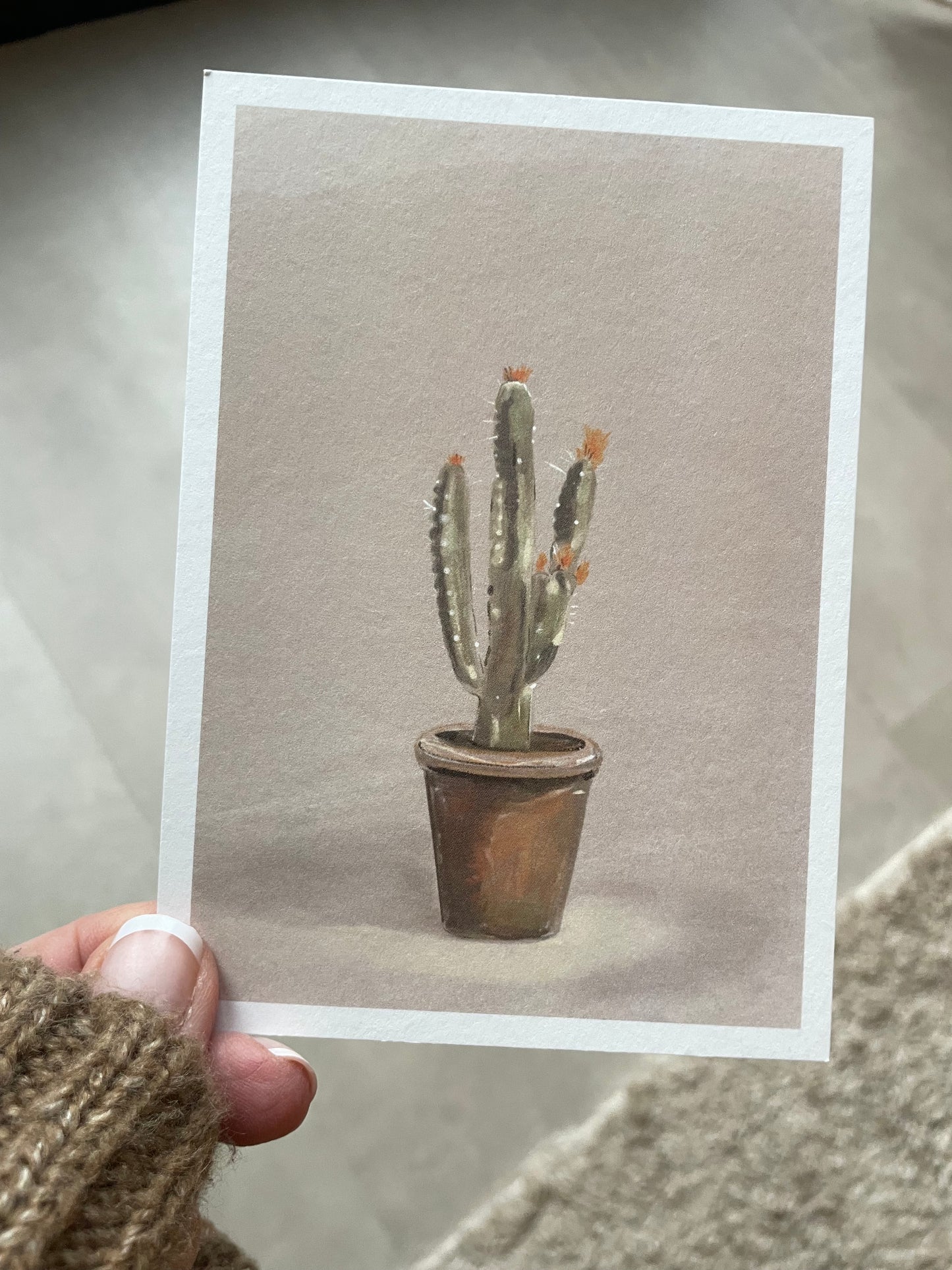 Cactus