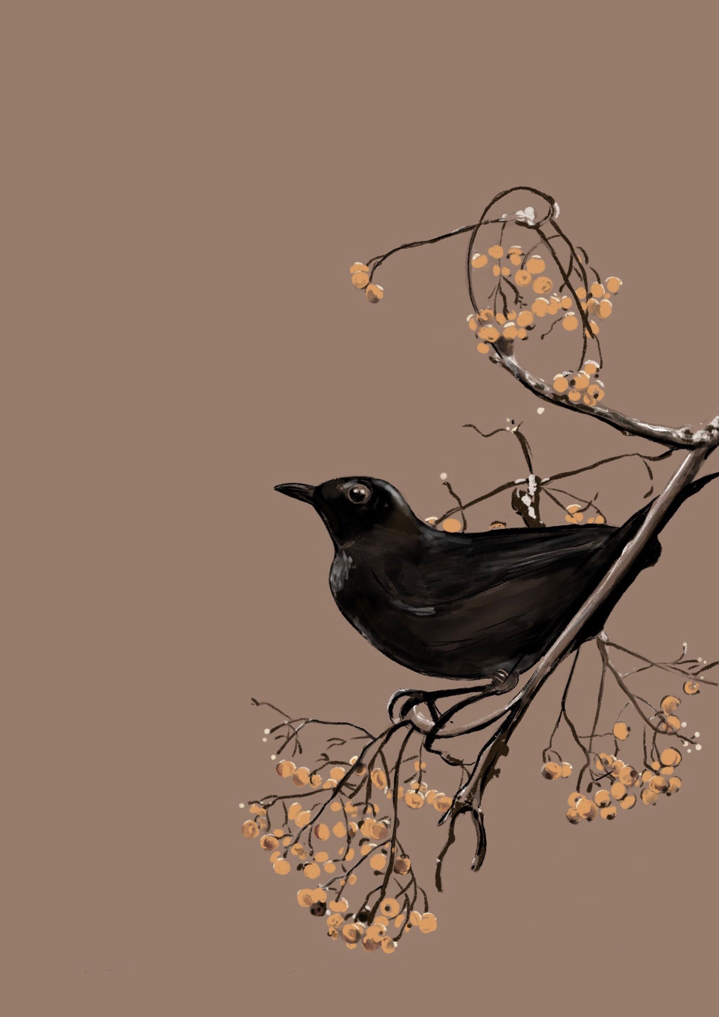 Blackbird