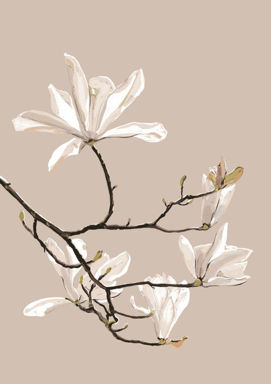 Blooming magnolia