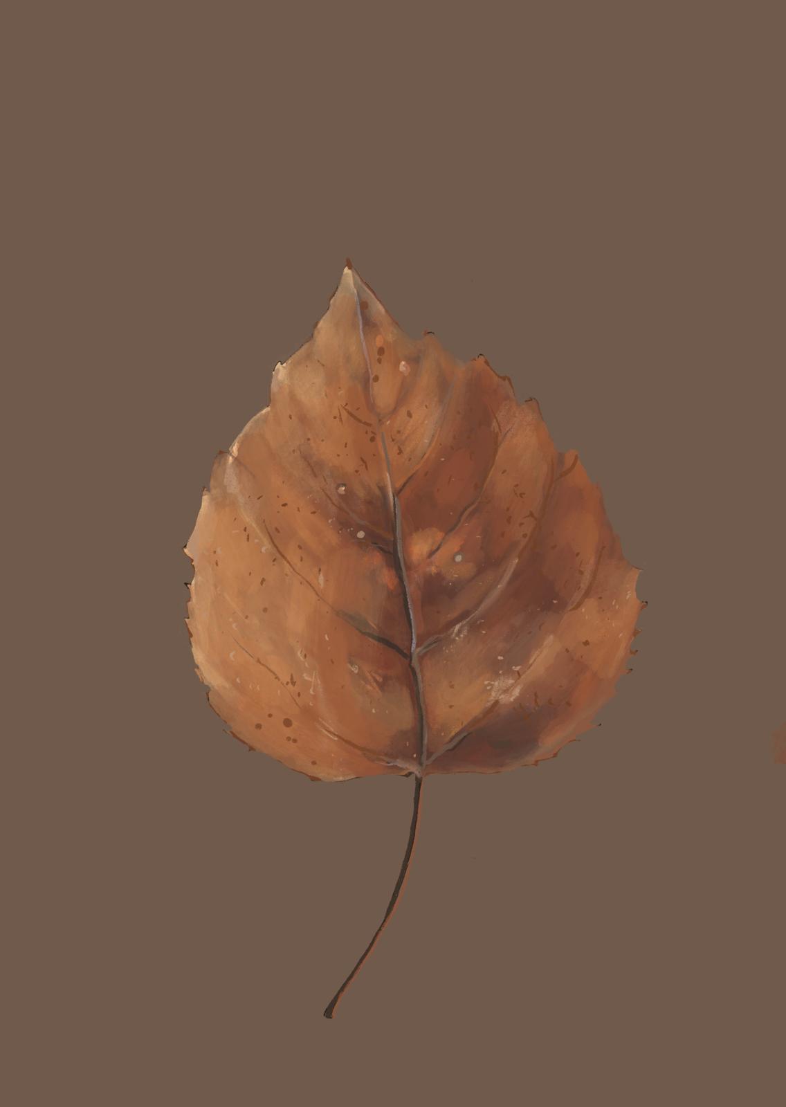 Brown Fall Leaf