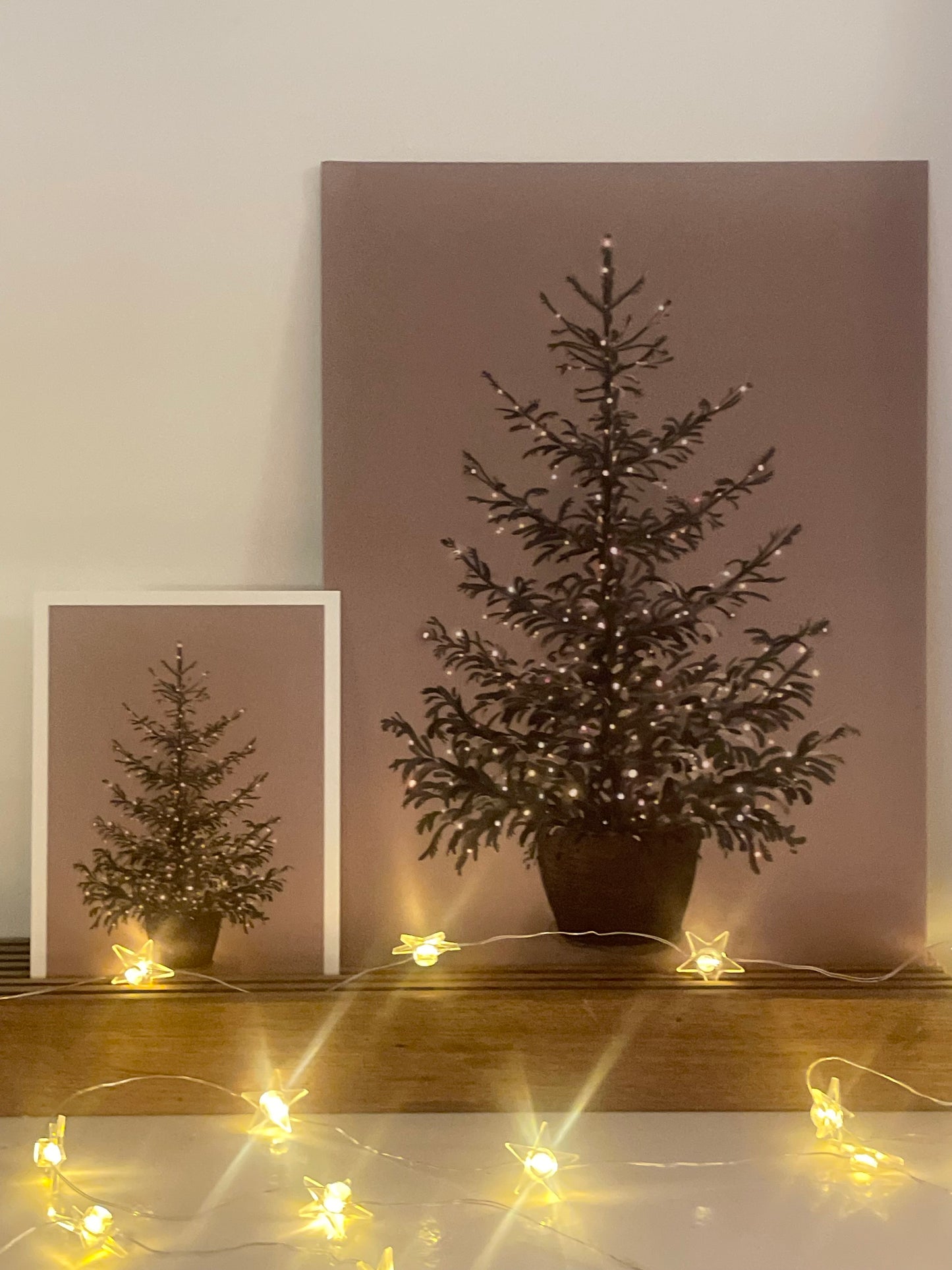 Christmas tree color lights