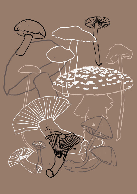 Fall Mushrooms