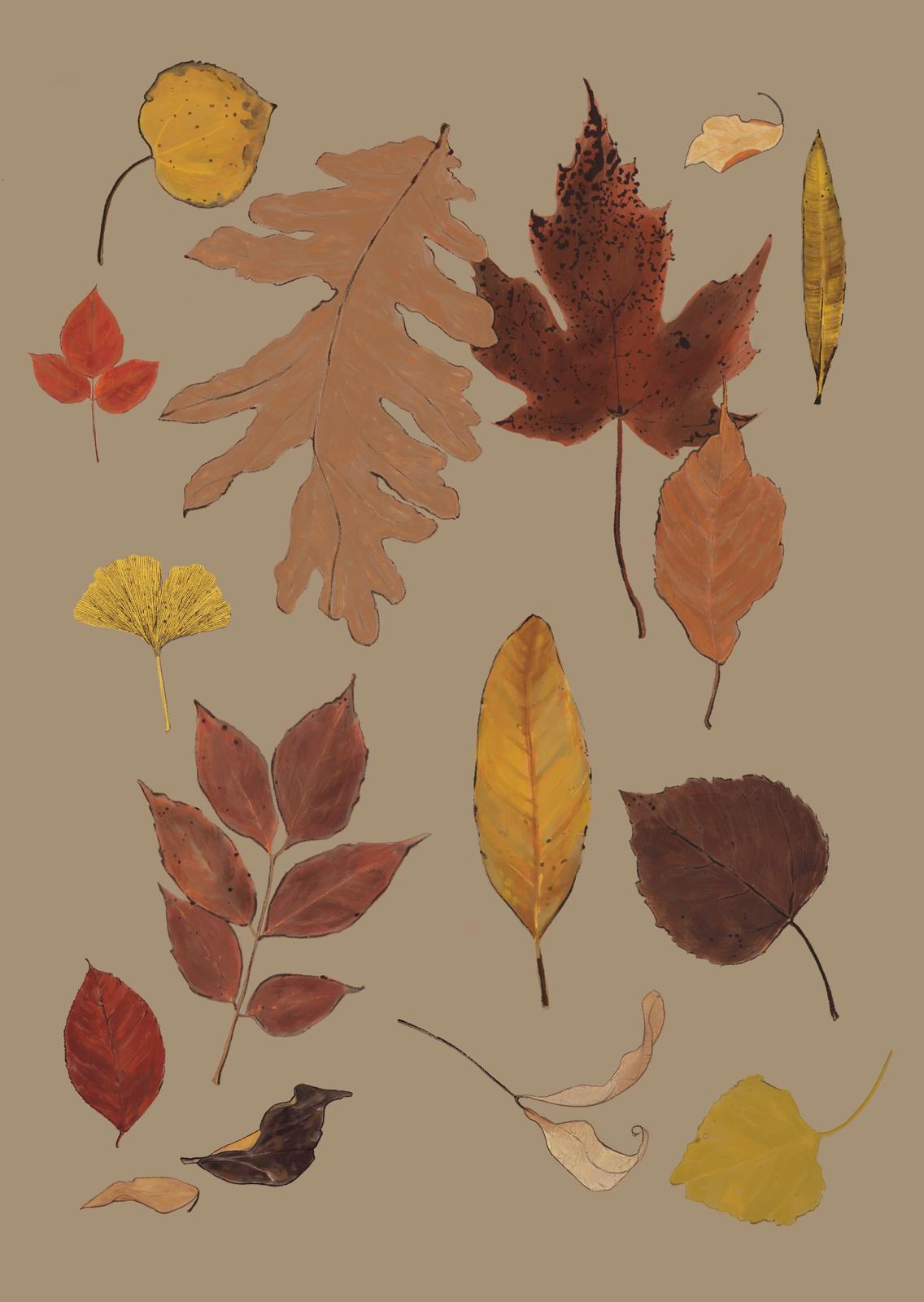 Fall Leafs