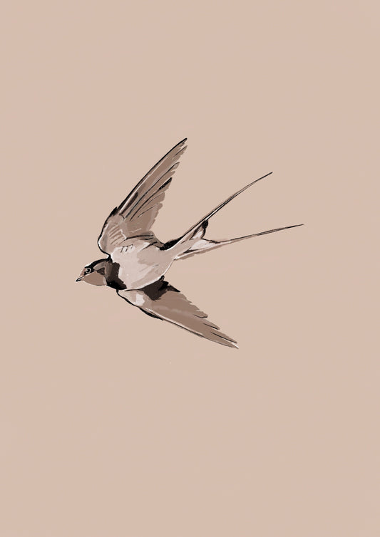 Swallow