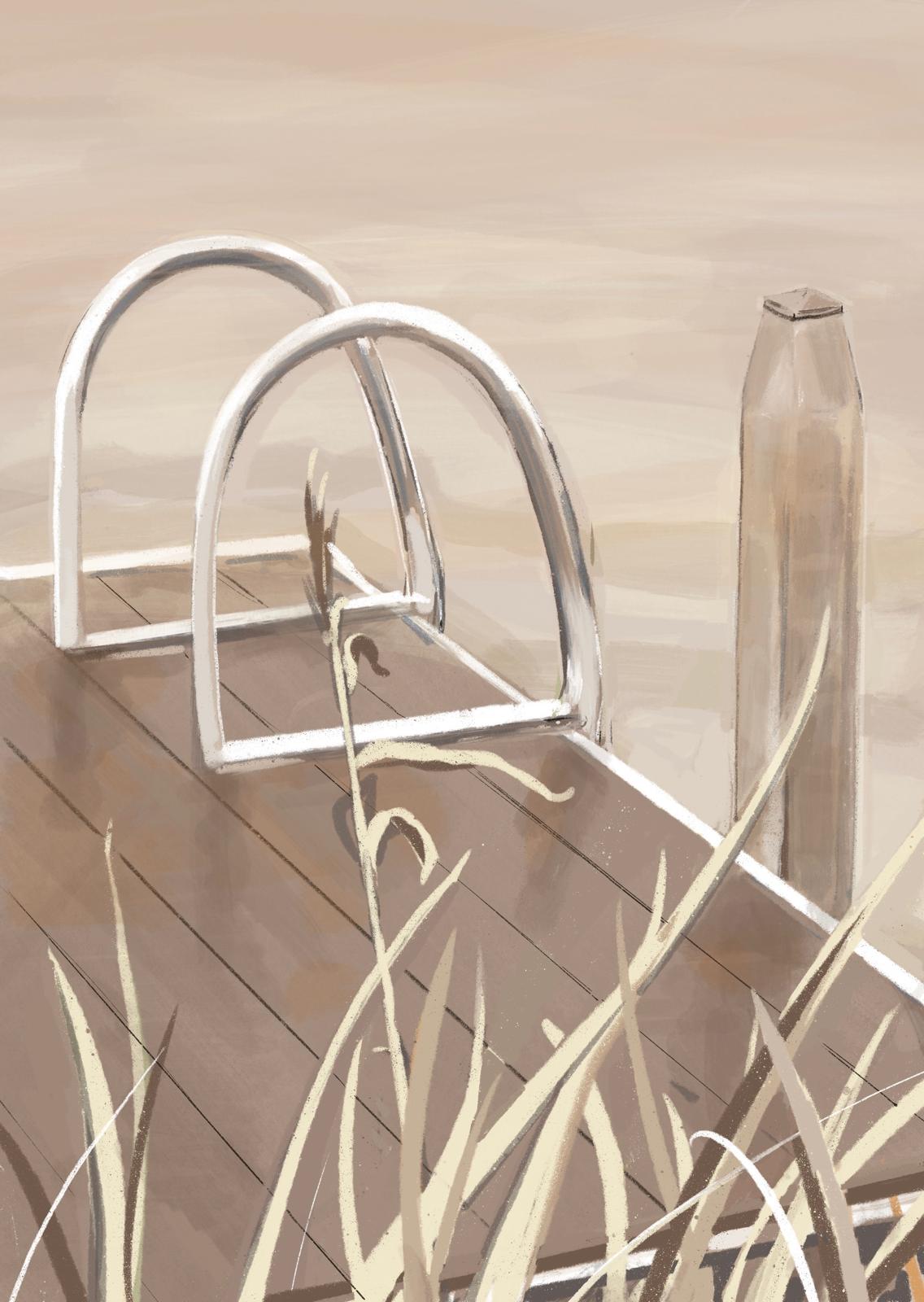 Pool steps