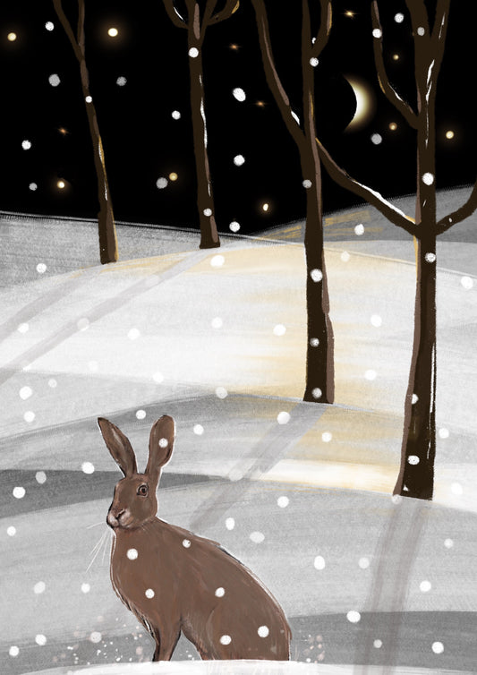 Winter Hare