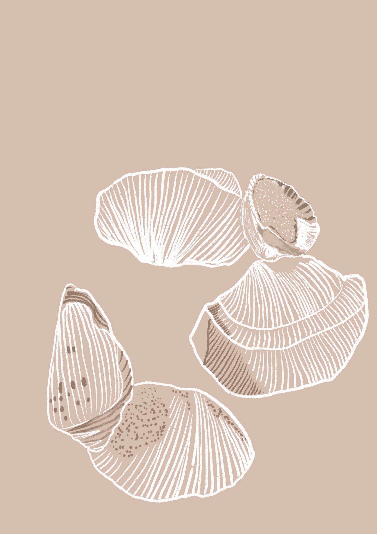 Shells Lines